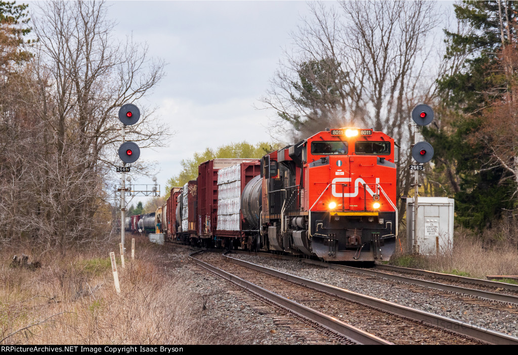 CN 8011